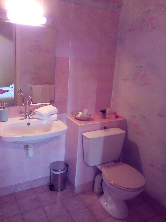 Le Relais De La Caleche Hotel Saint-Denis-dʼAnjou Zewnętrze zdjęcie